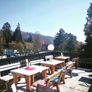 30264749 1851761121523729 2979425122542157824 n